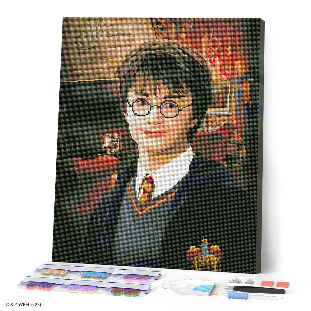 Figured'Art Harry Potter Portret diamond painting 40x50cm ingelijst