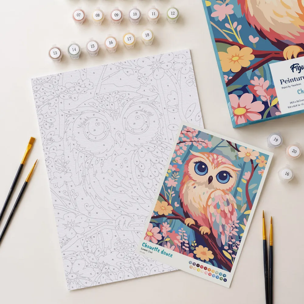 Figured'Art Schattige Uil cadeauset schilderen op nummer