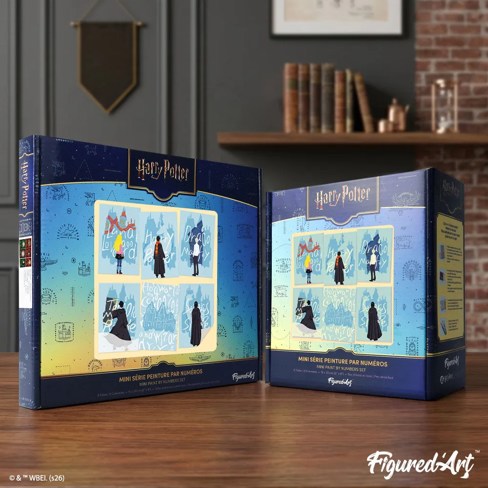 Figured'Art Harry Potter Kijkend naar de Toekomst mini schilderen op nummer 15x20cm 6 stuks