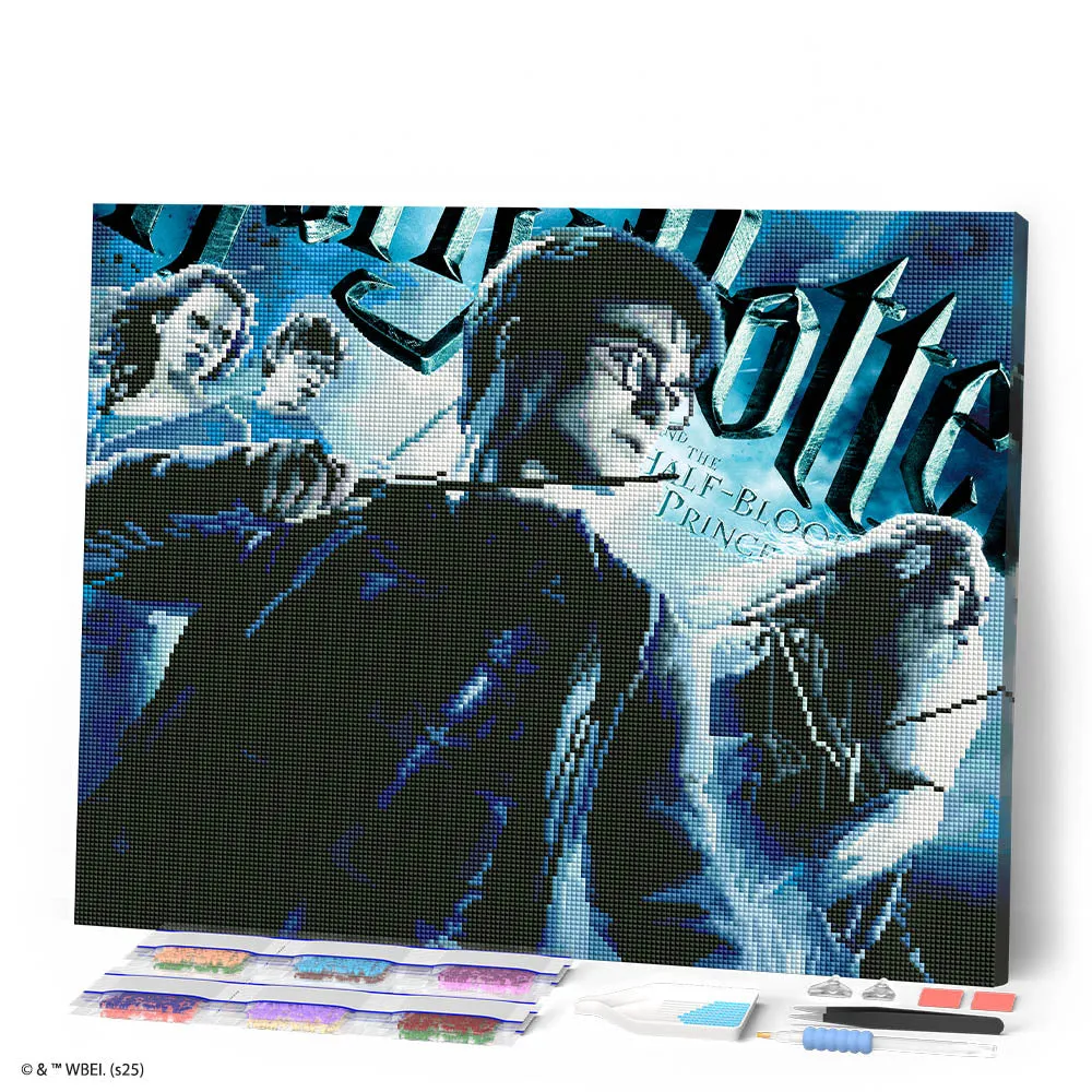 Figured'Art Harry Potter Halfbloed Prins Poster II diamond painting 40x50