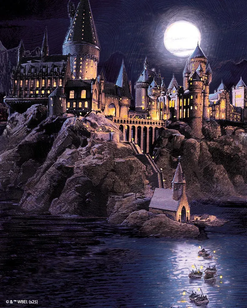 Figured'Art Harry Potter Hogwarts diamond painting 40x50 cm nacht