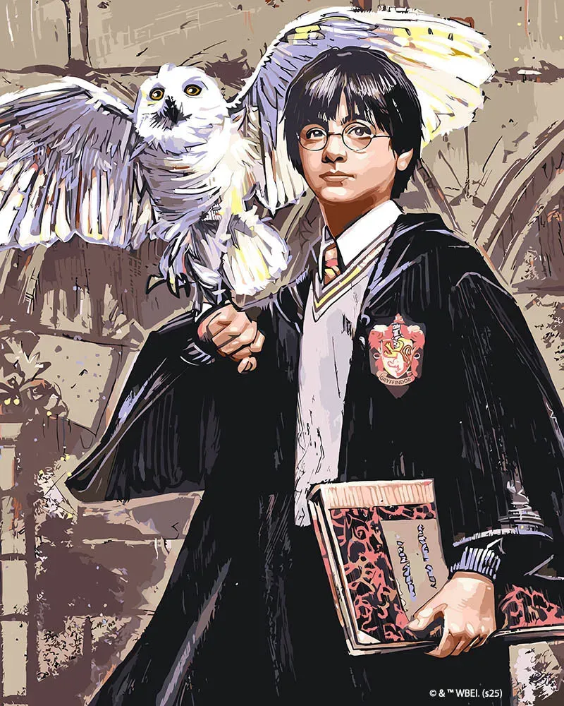 Figured'Art Harry Potter en Hedwig schilderen op nummer 40x50 cm