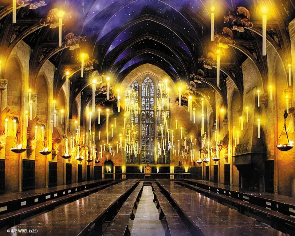 Figured'Art Harry Potter Grote Zaal diamond painting 40x50cm