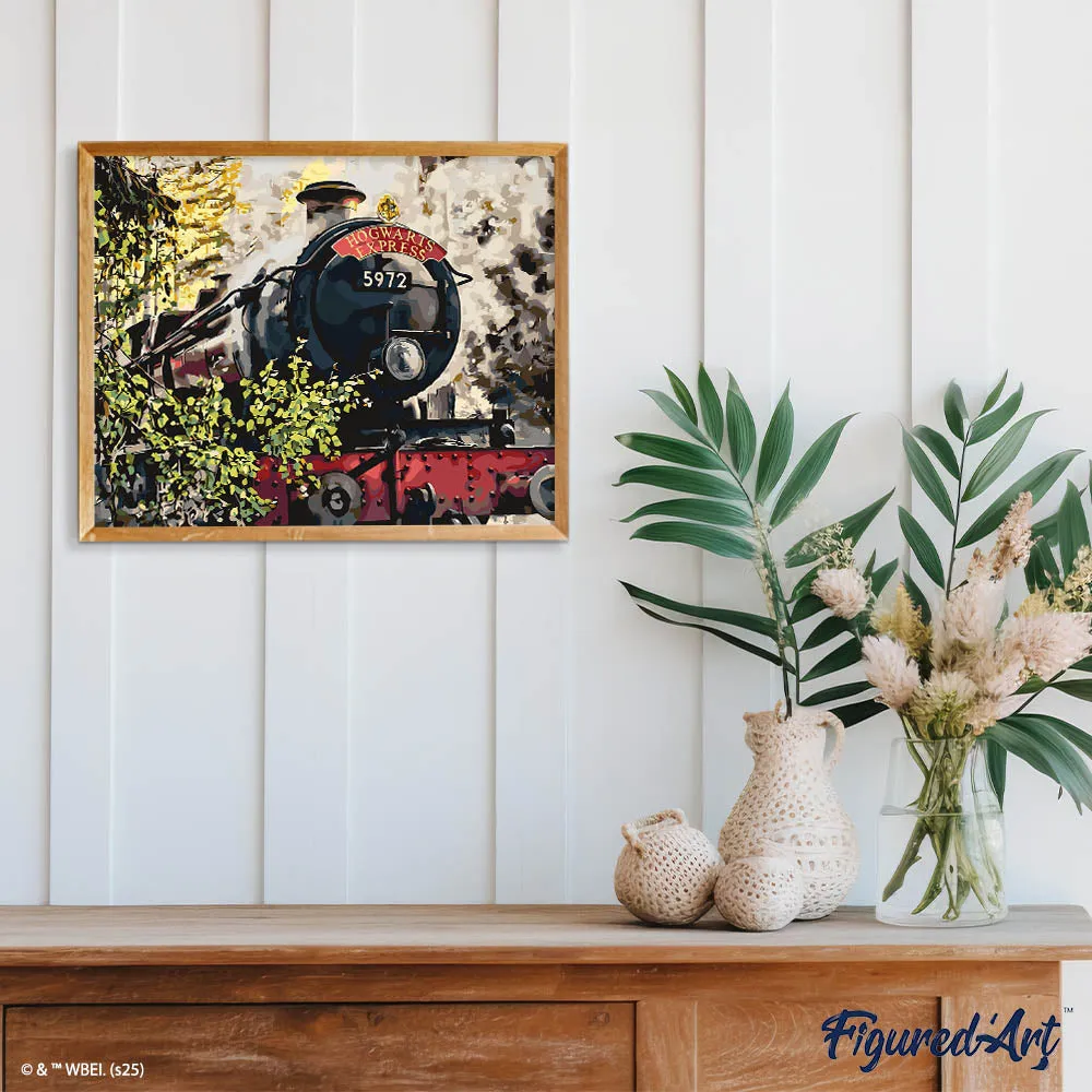 Figured'Art Harry Potter Hogwarts Express schilderen op nummer 40x50 cm