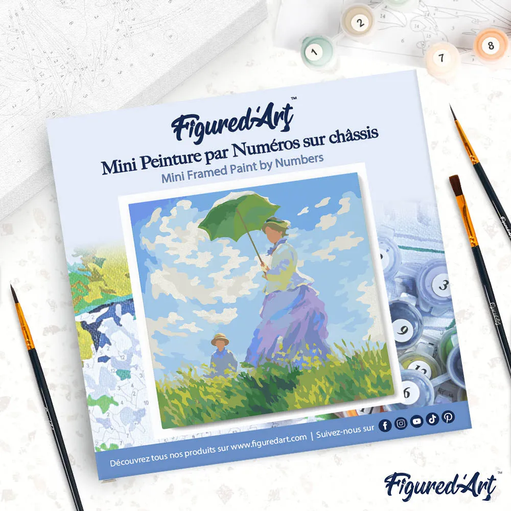 Figured'Art De Wandeling Monet mini schilderen op nummer 20x20cm