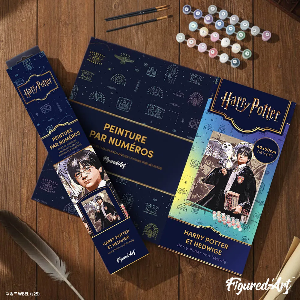 Figured'Art Harry Potter en Hedwig schilderen op nummer 40x50 cm