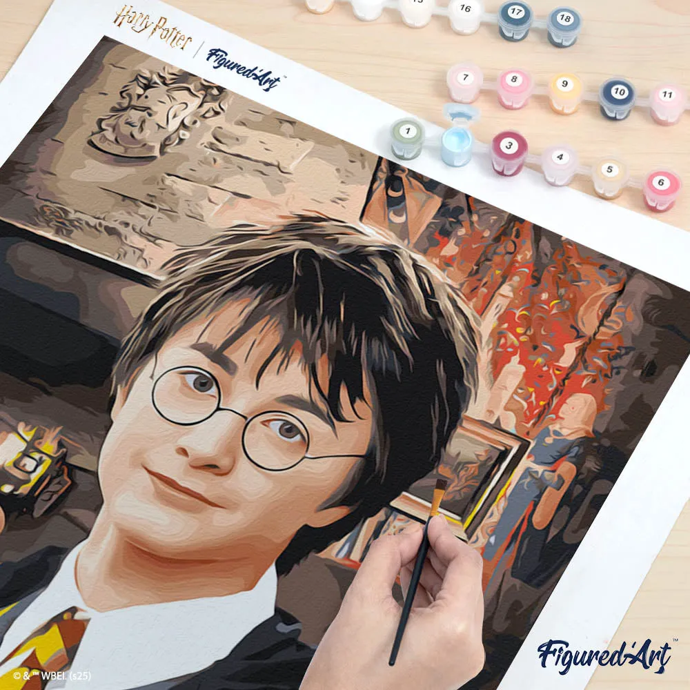 Figured'Art Portret van Harry Potter schilderen op nummer 40x50 cm gemiddeld