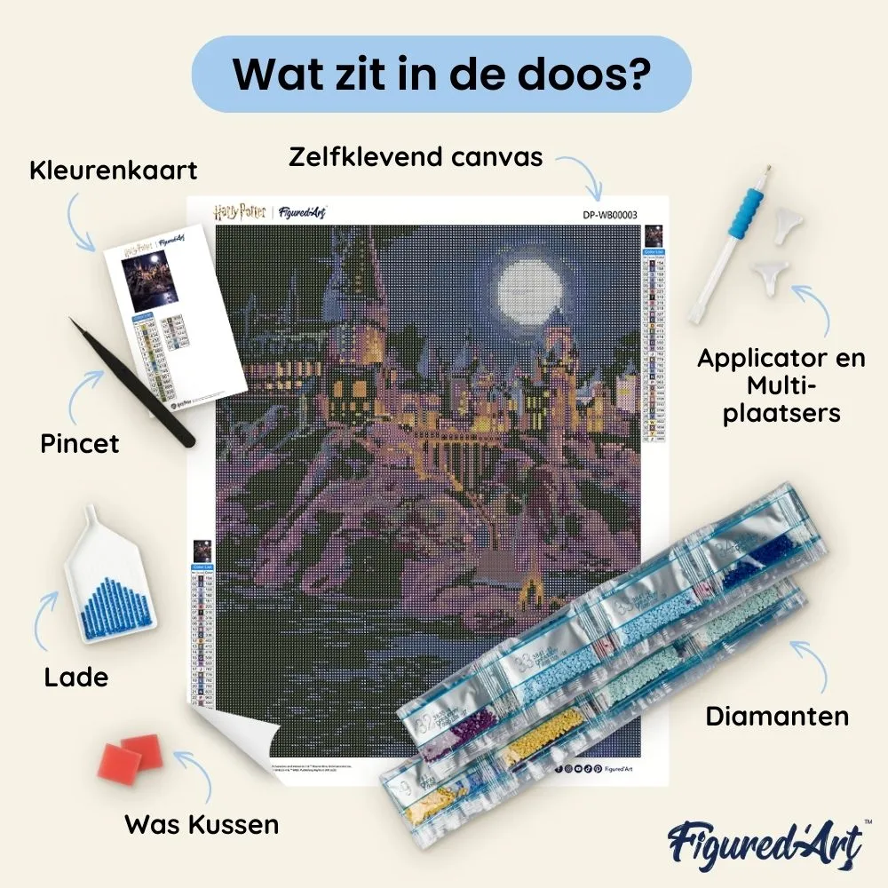 Figured'Art Harry Potter Hogwarts diamond painting 40x50 cm nacht