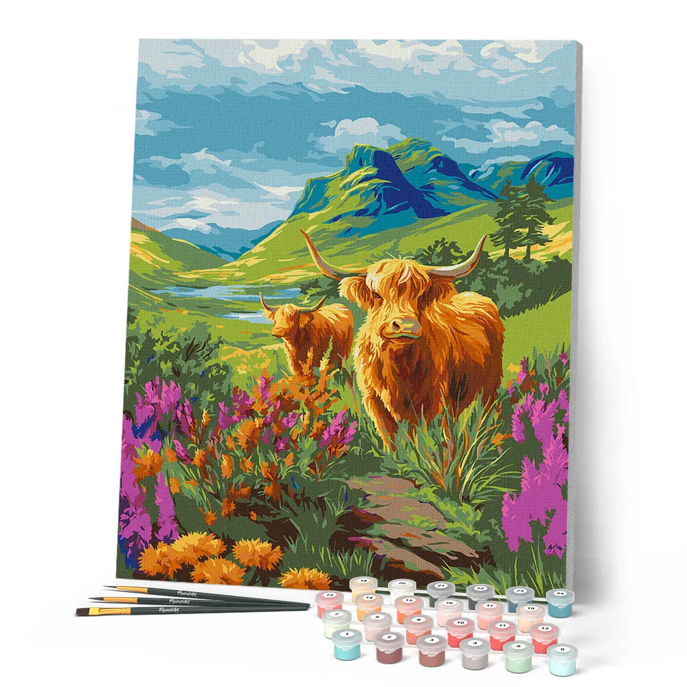 Figured'Art Schotse Hooglander Schilderen op Nummer 40x50cm Koe