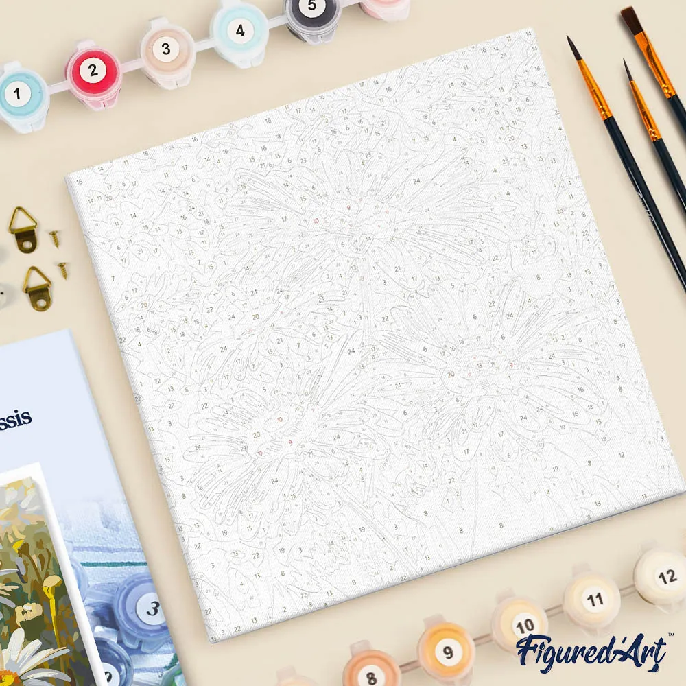 Figured'Art Madeliefjes mini schilderen op nummer 20x20cm met frame