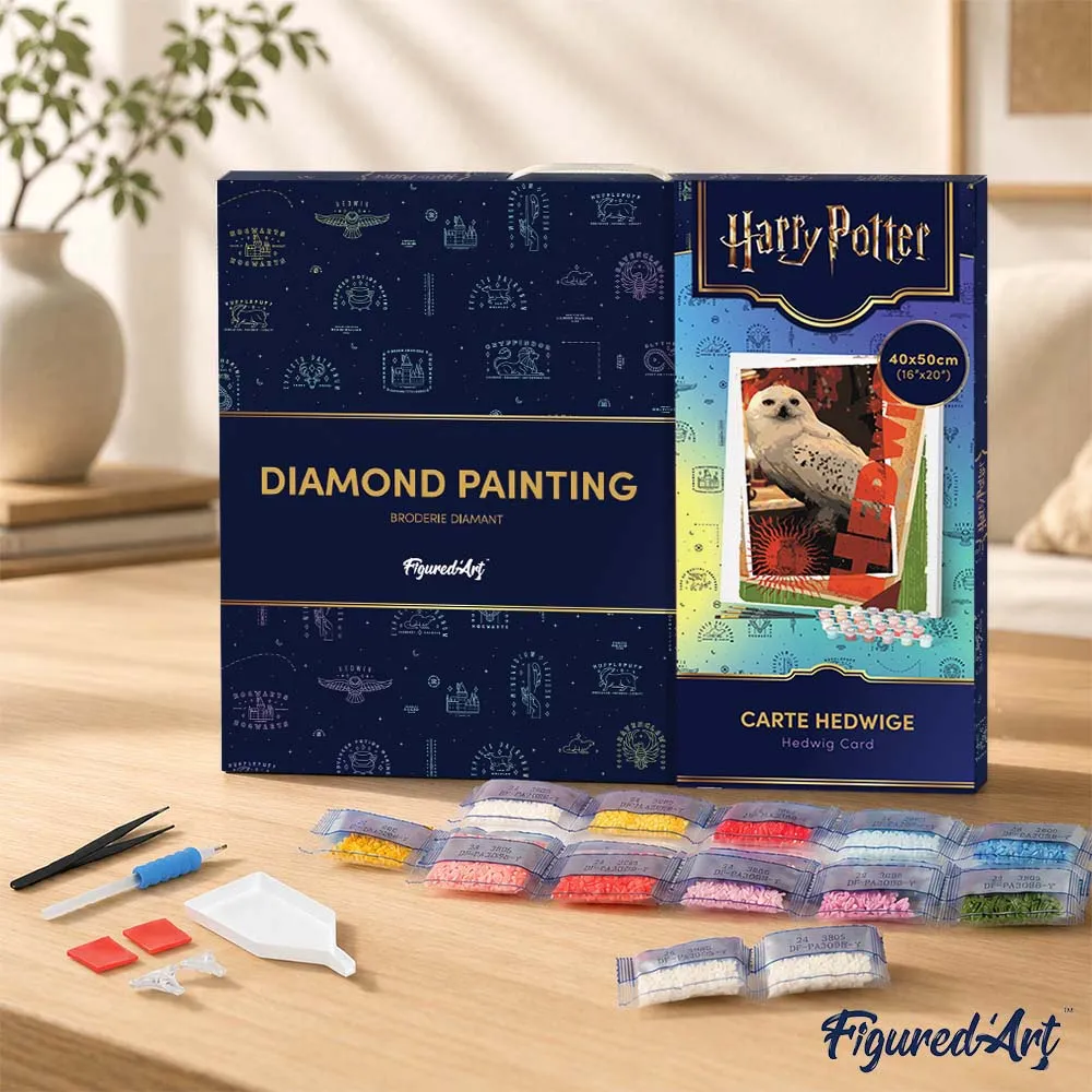 Figured'Art Hedwig Harry Potter Diamond Painting 40x50 Ingelijst