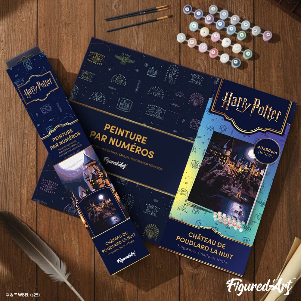 Figured'Art Harry Potter Hogwarts Schilderen op Nummer 40x50cm