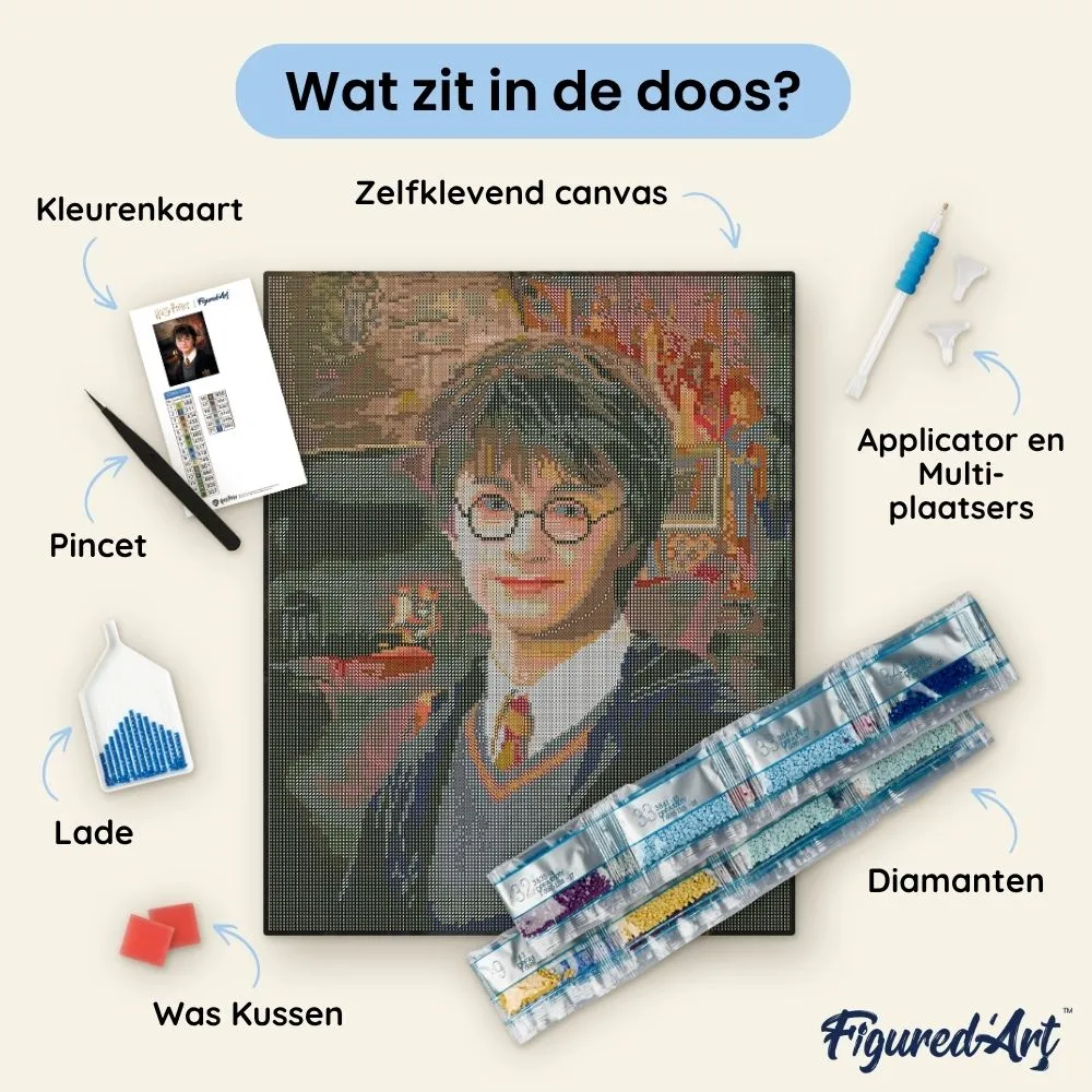 Figured'Art Harry Potter Portret diamond painting 40x50cm ingelijst