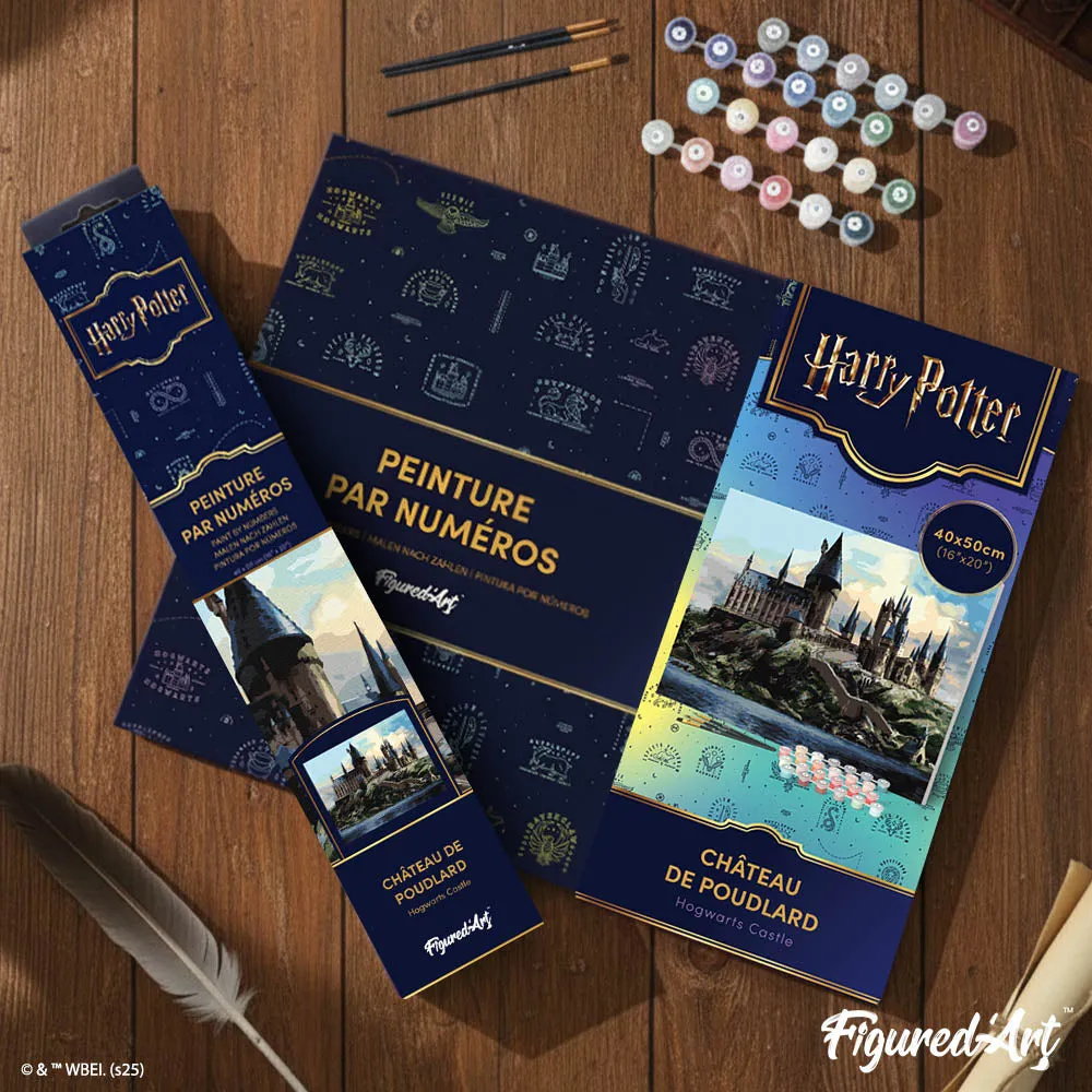 Figured'Art Harry Potter Hogwarts schilderen op nummer 40x50cm