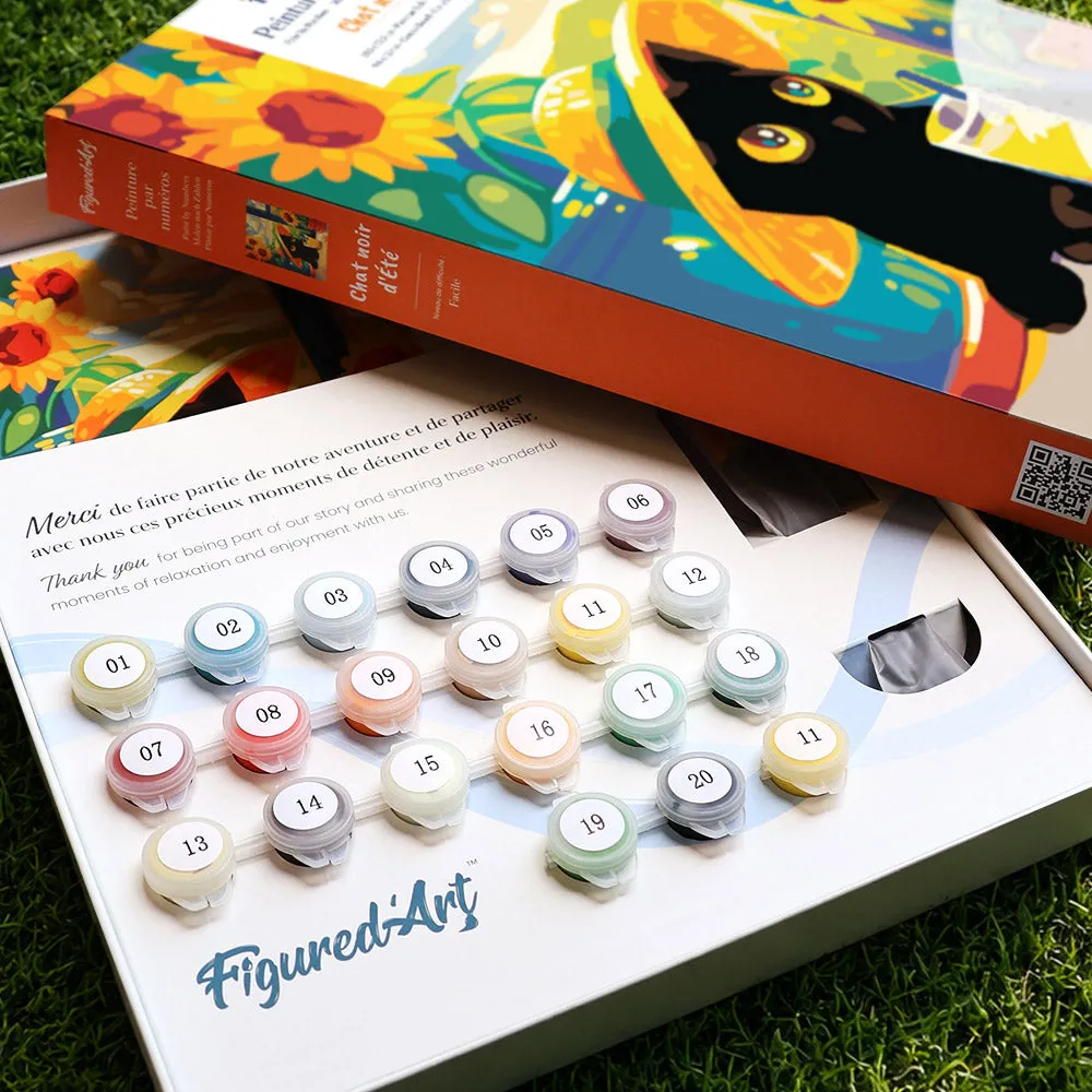 Figured'Art Zwarte Zomerkat cadeauset schilderen op nummer