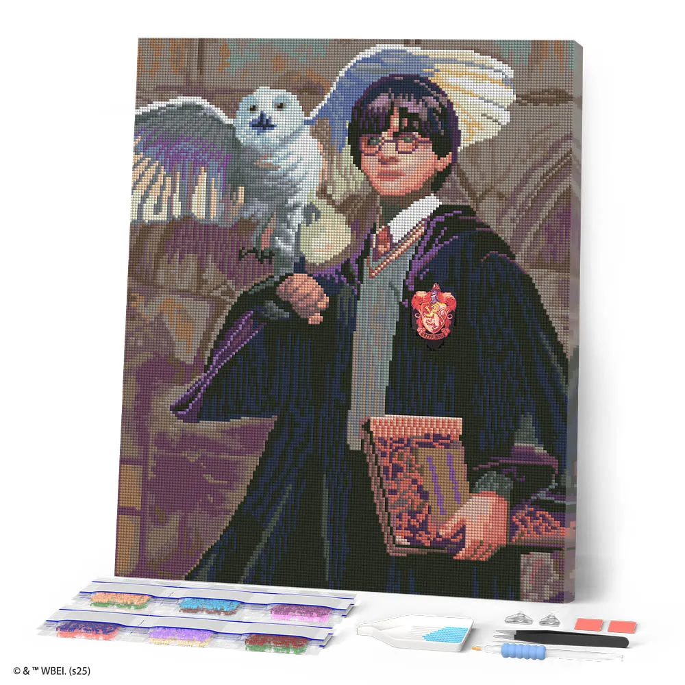 Figured'Art Harry Potter en Hedwig Diamond Painting 40x50 cm