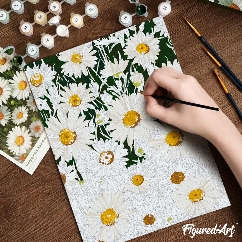 Figured'Art Witte Madeliefjes schilderen op nummers 24,5x32,5 cm