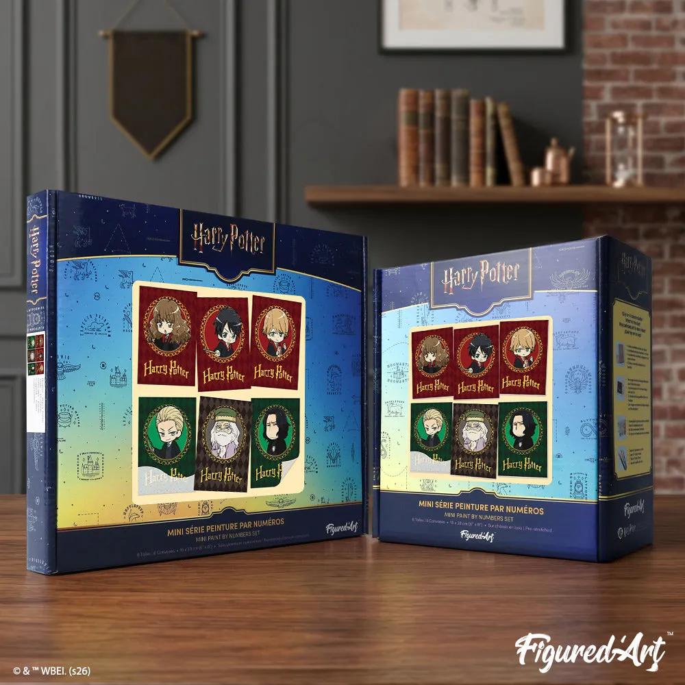 Figured'Art Harry Potter Portretten mini schilderen op nummer 15x20 cm 6 stuks