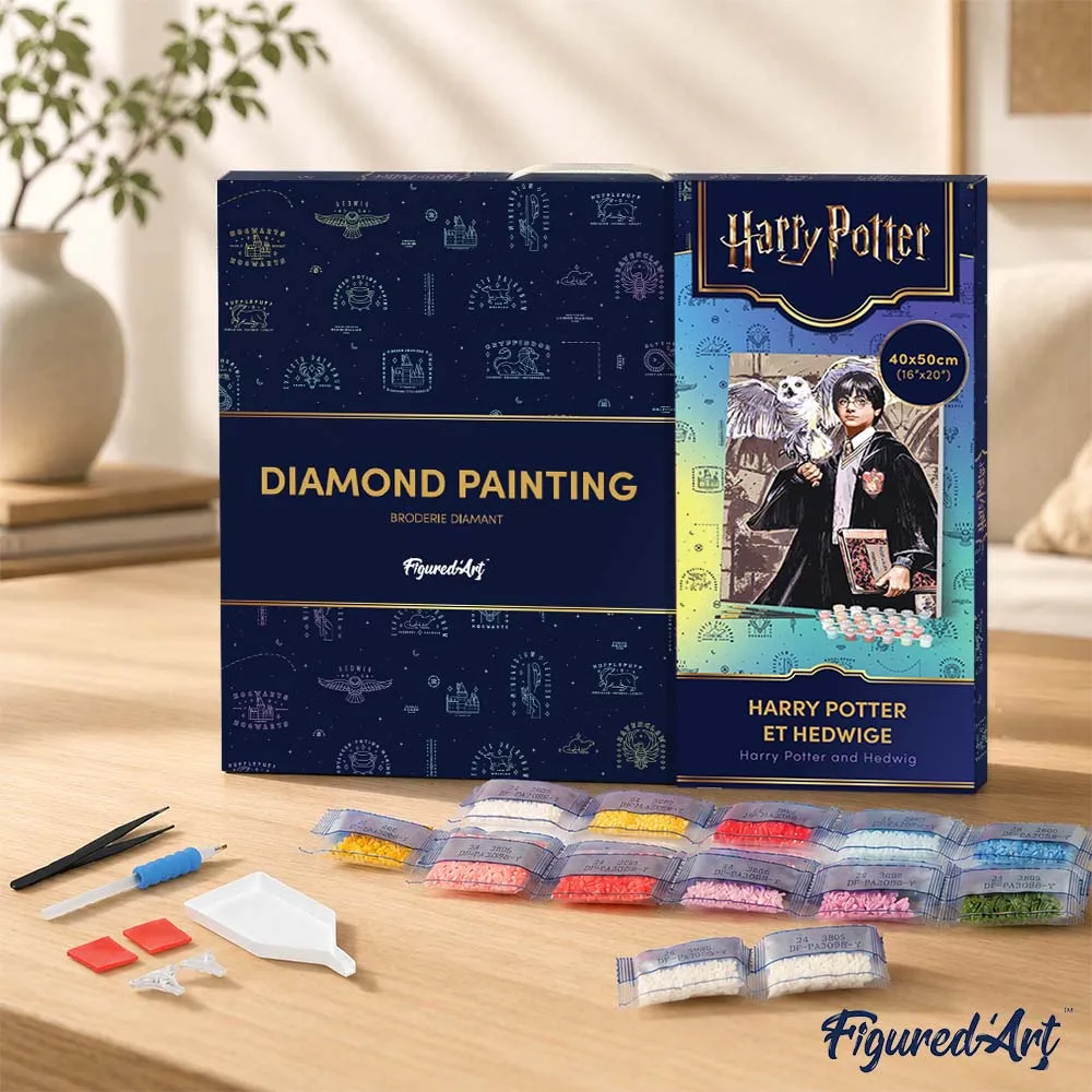 Figured'Art Harry Potter en Hedwig diamond painting 40x50 ingelijst