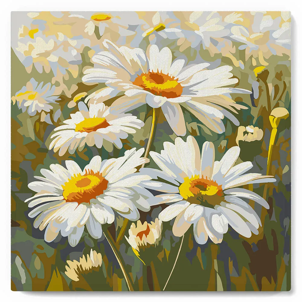 Figured'Art Madeliefjes mini schilderen op nummer 20x20cm met frame
