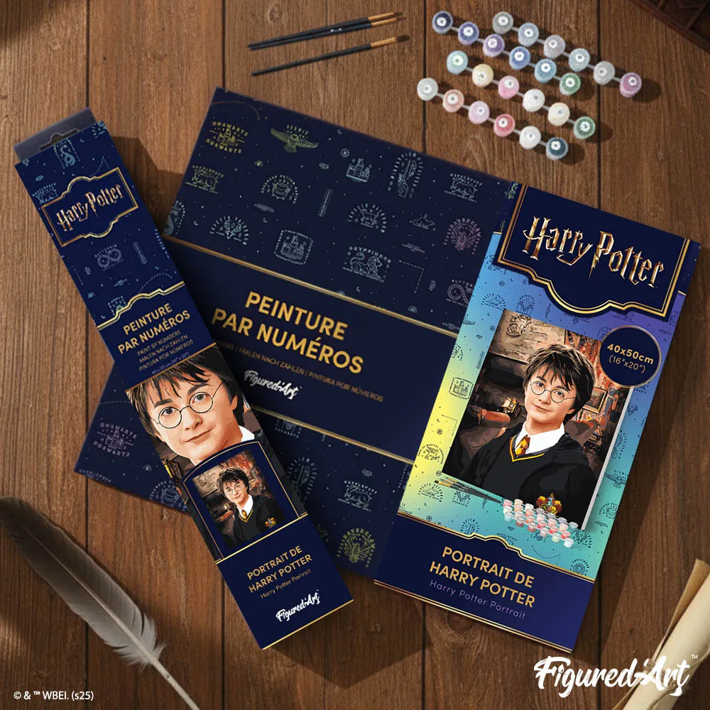 Figured'Art Portret van Harry Potter schilderen op nummer 40x50 cm gemiddeld