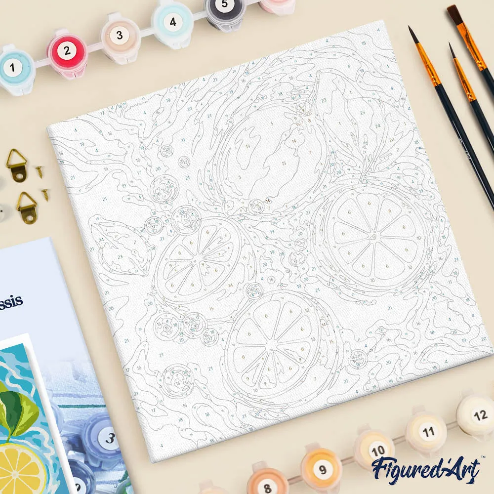Figured'Art Mini Citrusbries schilderen op nummer 20x20cm met frame eenvoudig