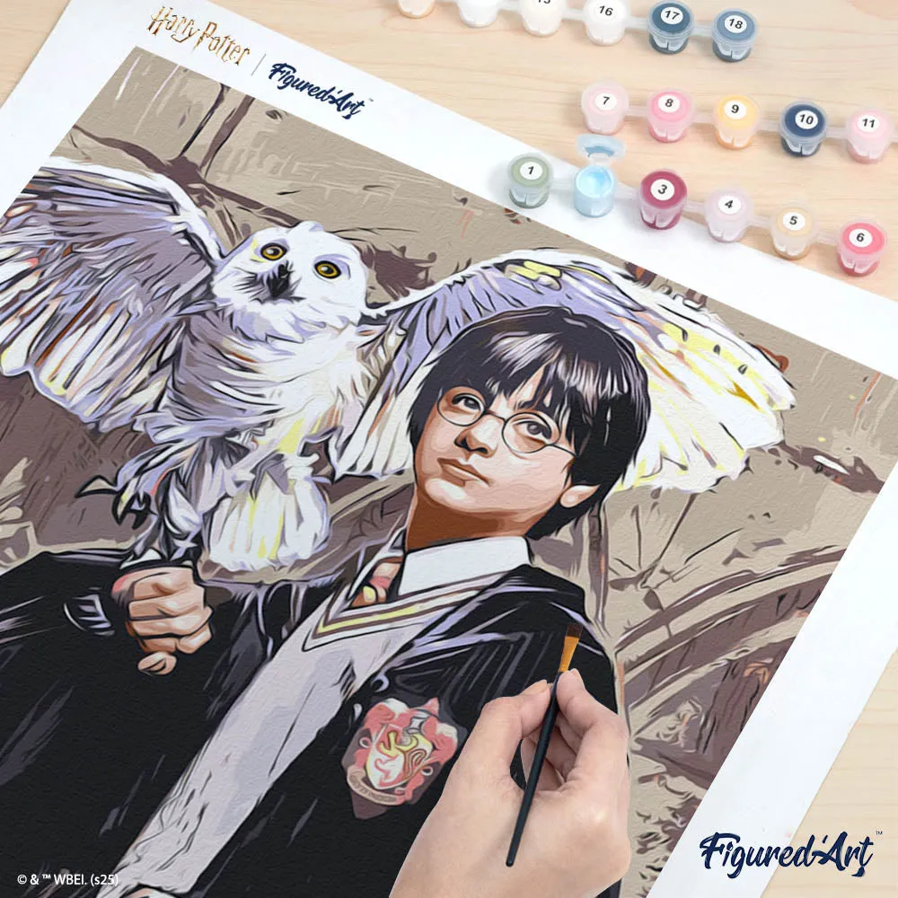 Figured'Art Harry Potter en Hedwig schilderen op nummer 40x50 cm