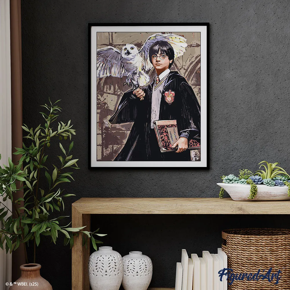 Figured'Art Harry Potter en Hedwig schilderen op nummer 40x50 cm