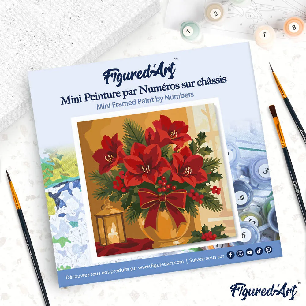 Figured'Art Kerststerren mini schilderen op nummer 20x20 cm met frame