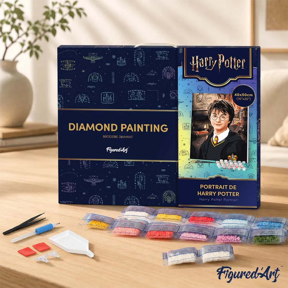 Figured'Art Harry Potter Portret diamond painting 40x50cm ingelijst
